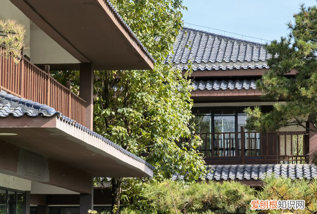 华为mate40pro+全面评测