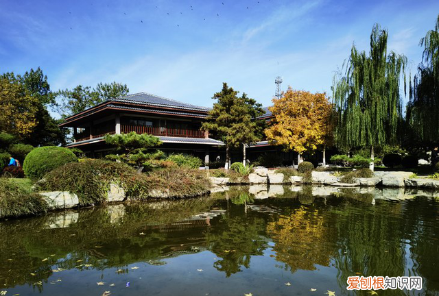 华为mate40pro+全面评测