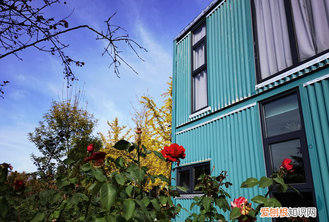 华为mate40pro+全面评测