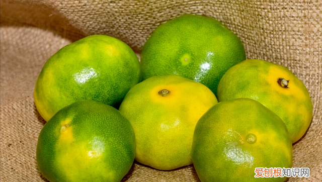 为什么吃橘子可以缓解咳嗽