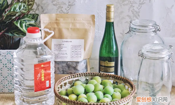 怎么泡青梅酒，青梅酒的泡制方法