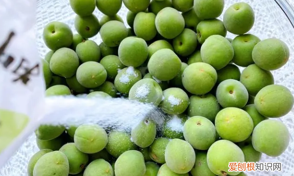 怎么泡青梅酒，青梅酒的泡制方法