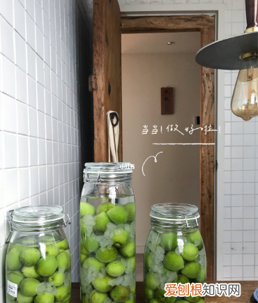 怎么泡青梅酒，青梅酒的泡制方法