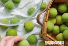 怎么泡青梅酒，青梅酒的泡制方法