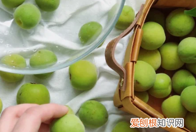 怎么泡青梅酒，青梅酒的泡制方法