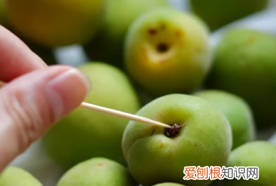 怎么泡青梅酒，青梅酒的泡制方法