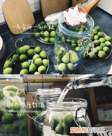 怎么泡青梅酒，青梅酒的泡制方法