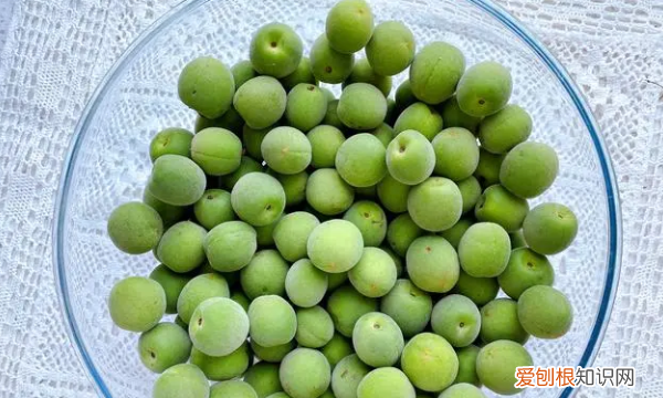 怎么泡青梅酒，青梅酒的泡制方法