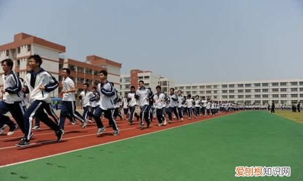 运动记录表怎么做 小学,2年级上学期运动打卡记录怎么写的