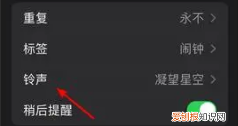 苹果手机闹钟铃声怎么设置，苹果手机怎么设置闹钟铃声自定义