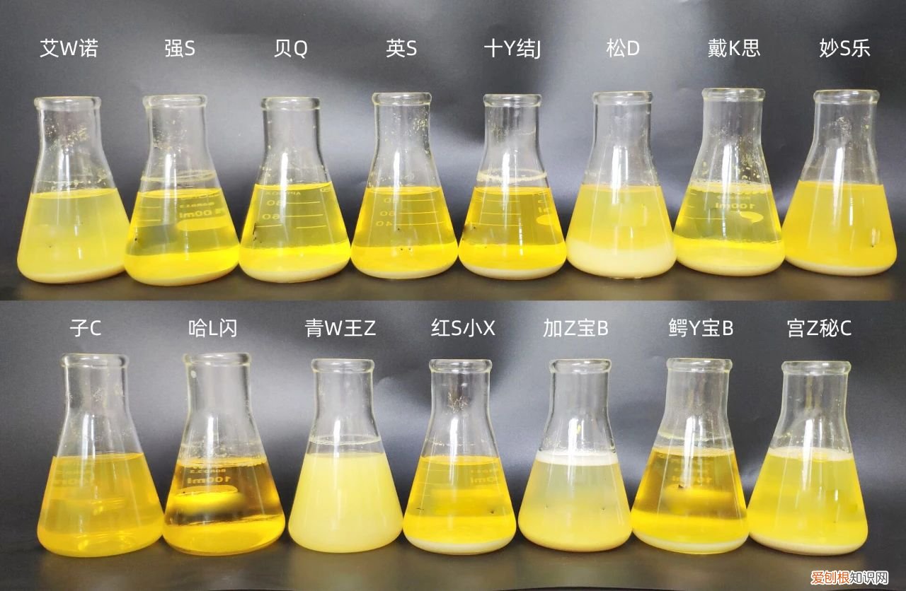 婴儿洗发沐浴露哪个牌子好