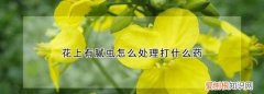 腻虫怎么消灭，花上有米虫子打什么药
