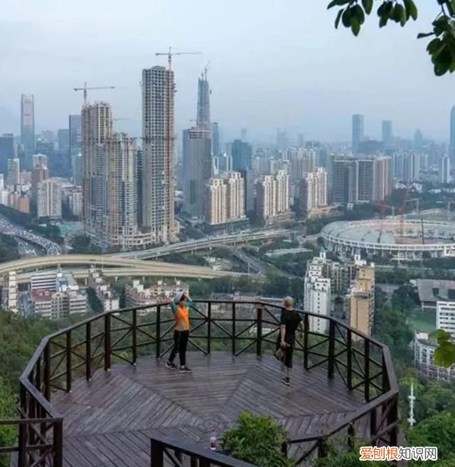 深圳旅游打卡好去处 深圳福布斯旅游指南
