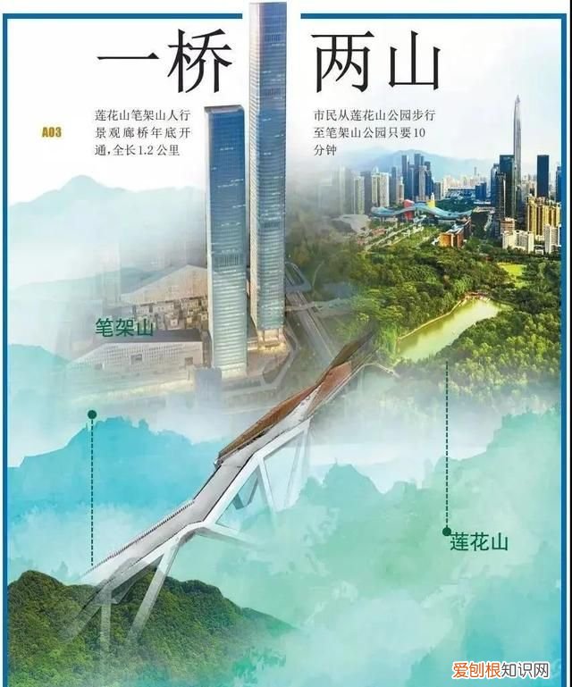 深圳旅游打卡好去处 深圳福布斯旅游指南