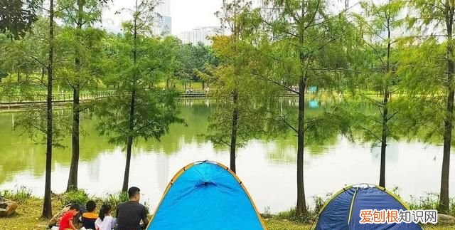 深圳旅游打卡好去处 深圳福布斯旅游指南