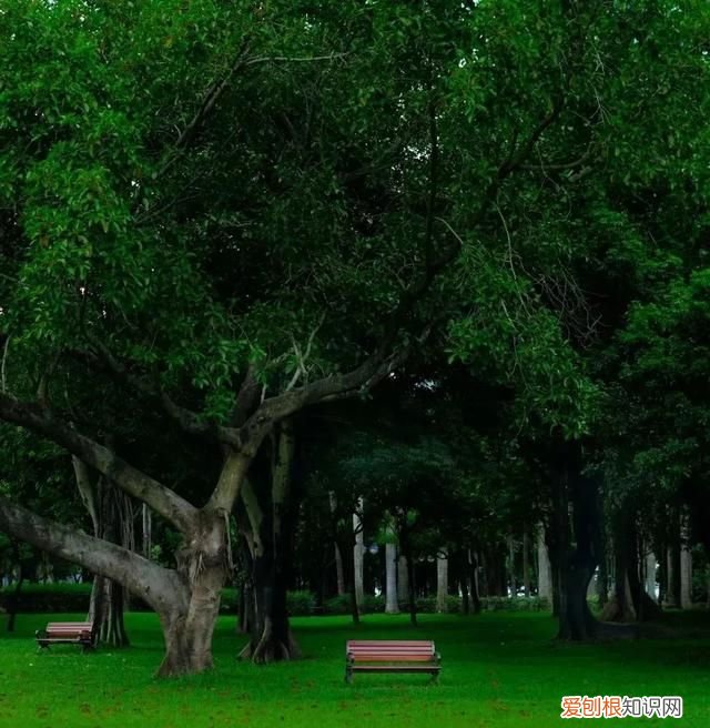 深圳旅游打卡好去处 深圳福布斯旅游指南