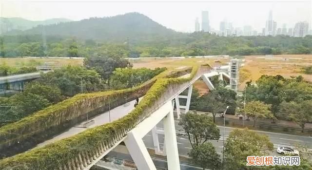 深圳旅游打卡好去处 深圳福布斯旅游指南