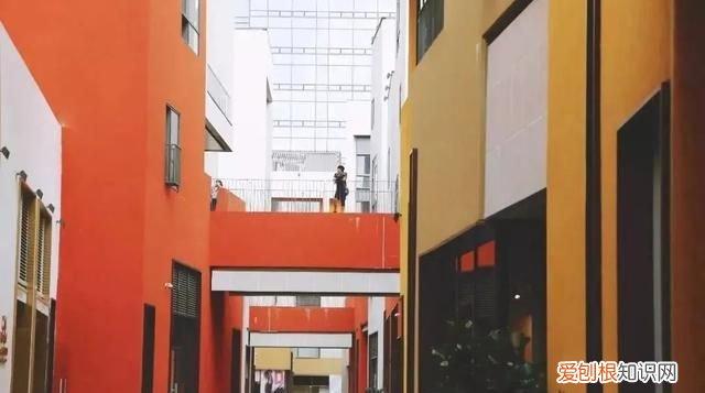 深圳旅游打卡好去处 深圳福布斯旅游指南