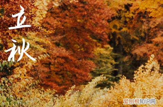 2023年立秋是早秋吗