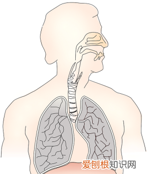 为什么暖宝宝撕开就会发热 暖宝宝为什么能发热