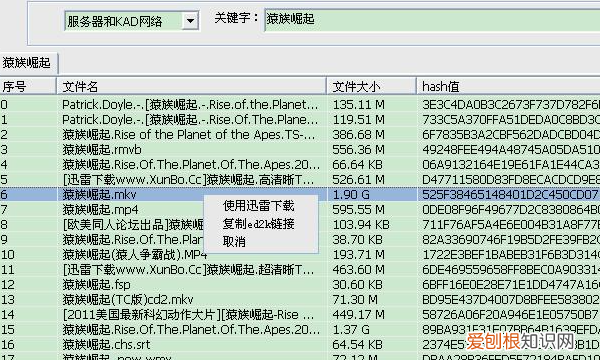 磁力前缀加什么，磁力链接开头 磁力链接开头是什么