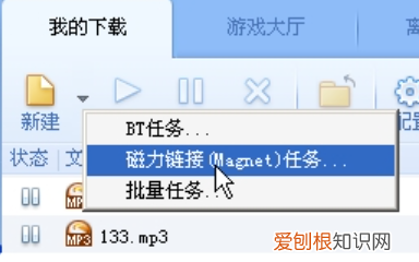 磁力前缀加什么，磁力链接开头 磁力链接开头是什么