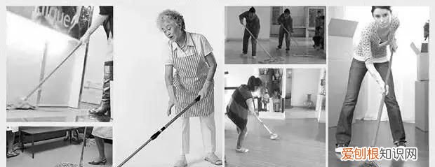 防治柳絮飞絮 防止柳絮飘入室内