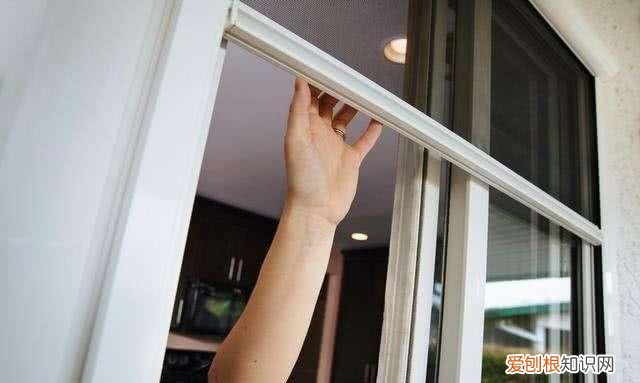 防治柳絮飞絮 防止柳絮飘入室内