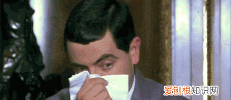 防治柳絮飞絮 防止柳絮飘入室内