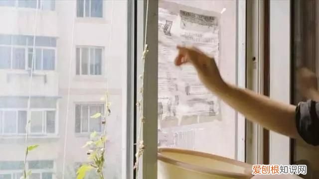 防治柳絮飞絮 防止柳絮飘入室内