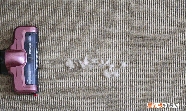 防治柳絮飞絮 防止柳絮飘入室内