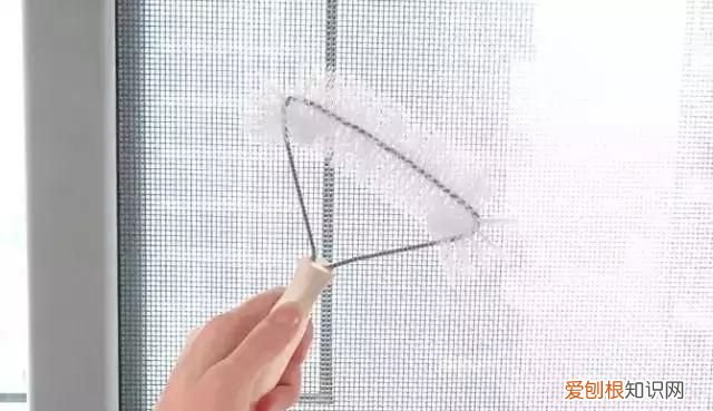 防治柳絮飞絮 防止柳絮飘入室内