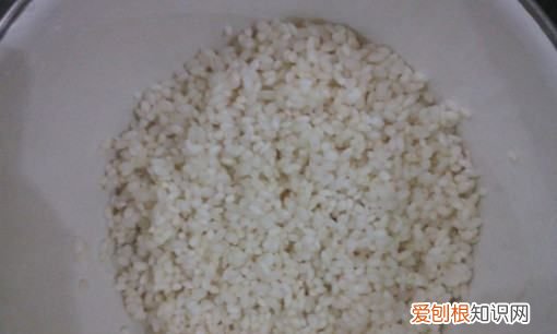 包粽子的糯米需要泡