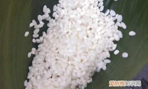 包粽子的糯米需要泡