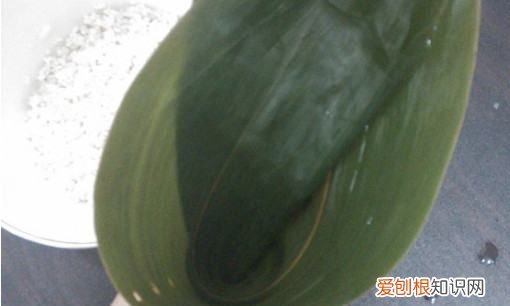 包粽子的糯米需要泡