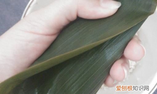 包粽子的糯米需要泡