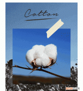 都是纯棉,50块和5000块的差别真有那么大吗