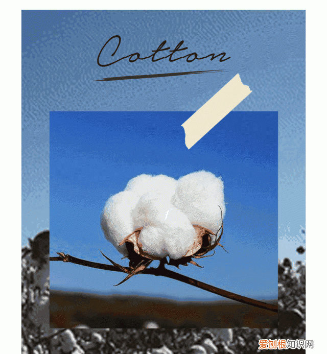 都是纯棉,50块和5000块的差别真有那么大吗