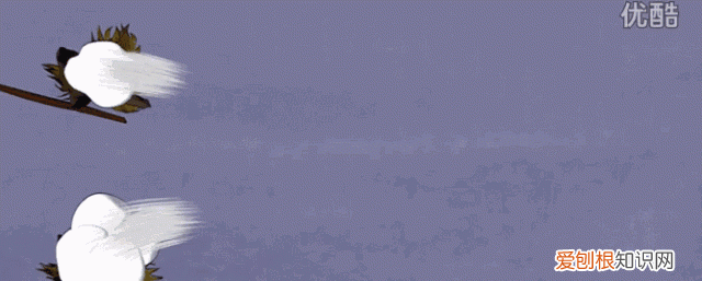 都是纯棉,50块和5000块的差别真有那么大吗