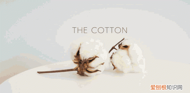 都是纯棉,50块和5000块的差别真有那么大吗