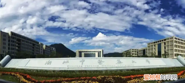 川北医学院招文科生，川北医学院录取分数线2023