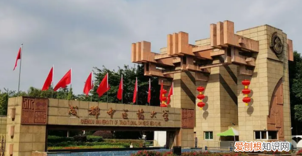 川北医学院招文科生，川北医学院录取分数线2023