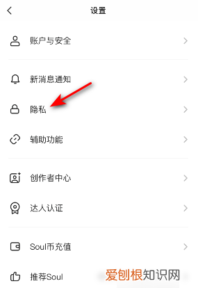 soul软件怎么隐藏距离 手机软件soul 如何设置置顶 4月07日最新整理发布