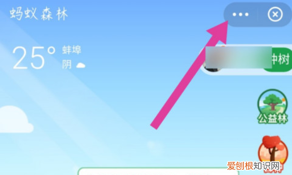 支付宝蚂蚁森林小卖部入口是什么 支付宝蚂蚁森林 如何隐藏小卖部入口 4月07日最新整理发布