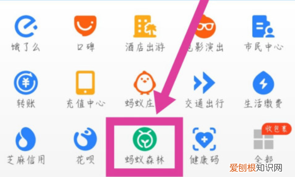 支付宝蚂蚁森林小卖部入口是什么 支付宝蚂蚁森林 如何隐藏小卖部入口 4月07日最新整理发布