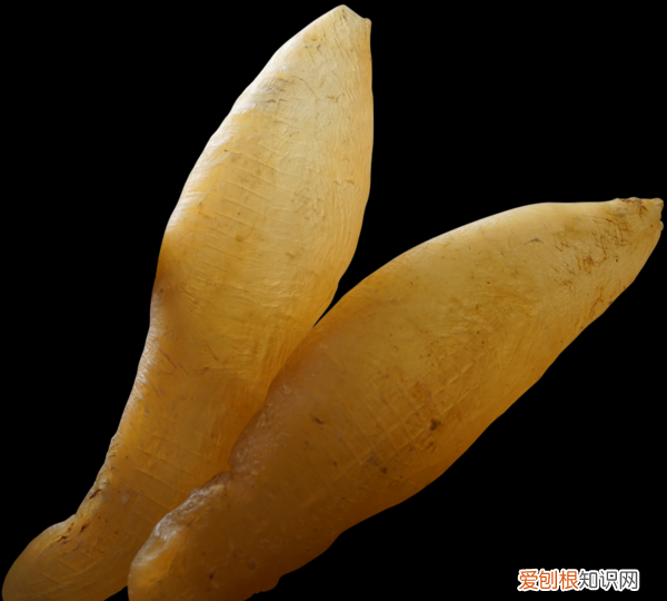 鱼胶的保存期有多长时间