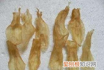 鱼胶的保存期有多长时间