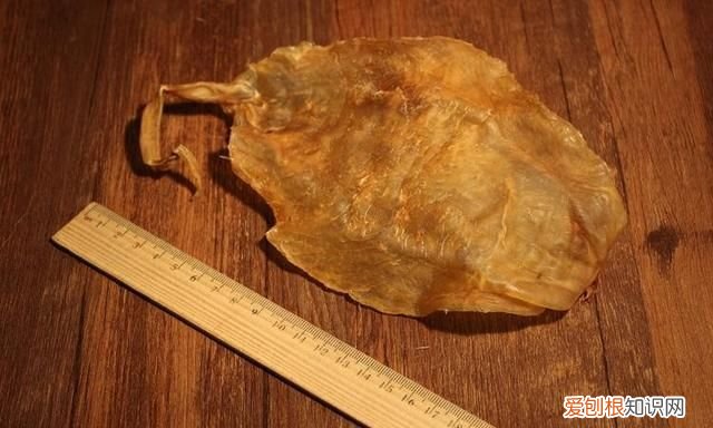 鱼胶的保存期有多长时间