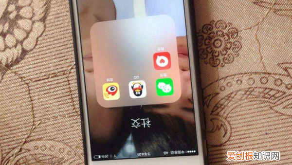 苹果是刘海屏,苹果什么是刘海屏