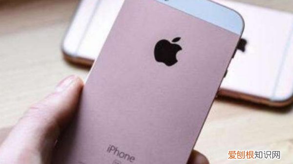 苹果是刘海屏,苹果什么是刘海屏